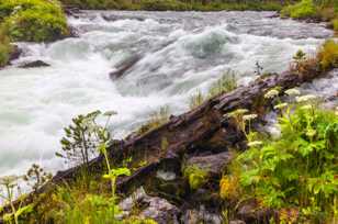 Deschutes River-3318.jpg Deschutes River-3318.jpg
